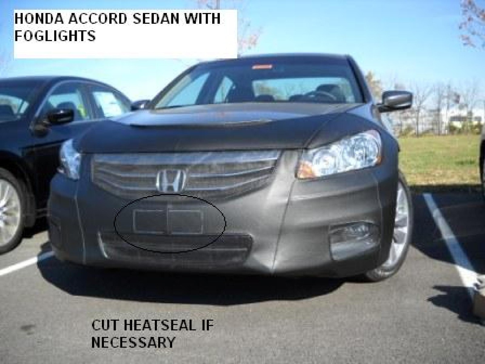 Lebra Front End Mask Bra Cover Fits HONDA ACCORD Sedan w/ fog lights 2011 2012