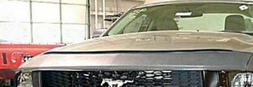 Lebra Hood Protector Mini Mask Bra Fits Ford Mustang 2005-2009 05 06 07 08 09