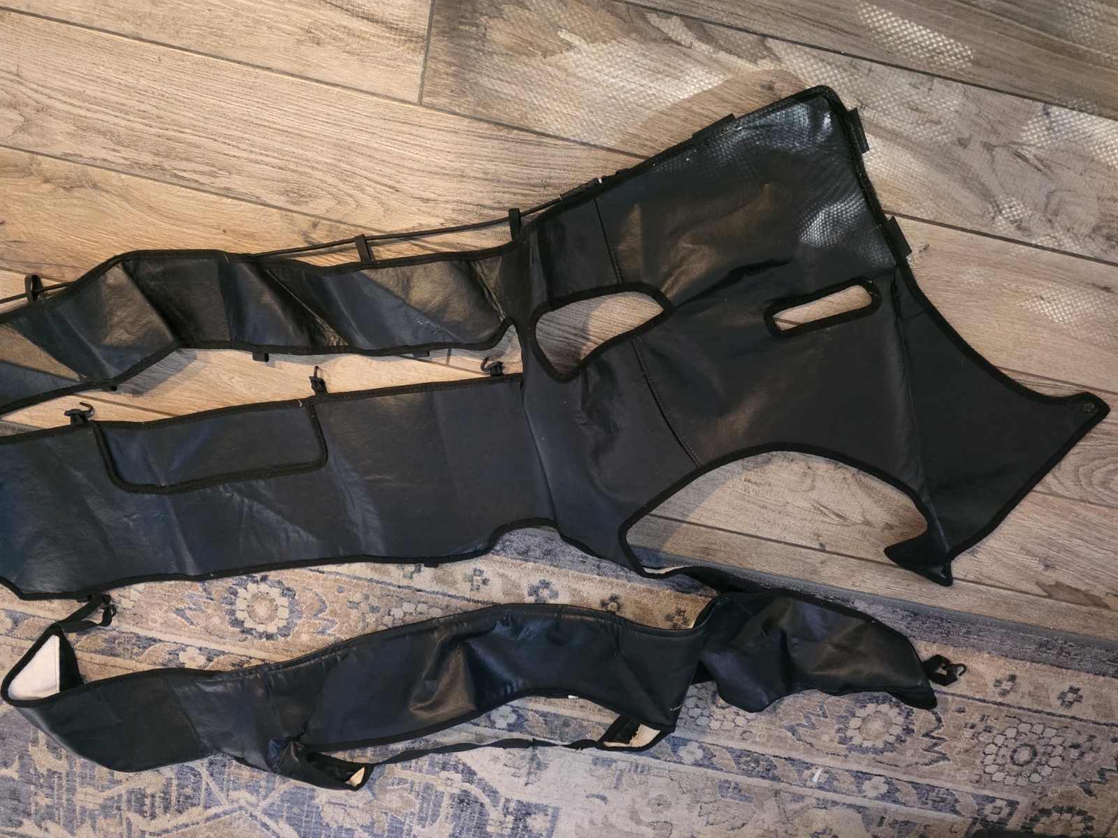 Genuine Lexus Gs300/400 Front Bra OEM 1998-2005
