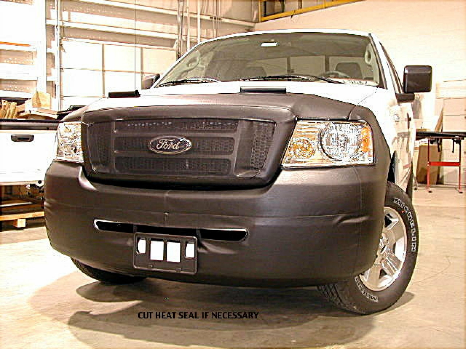 LeBra Front End Cover for F-150 with Fog Lights with Lip Moldings Bra 551628-01