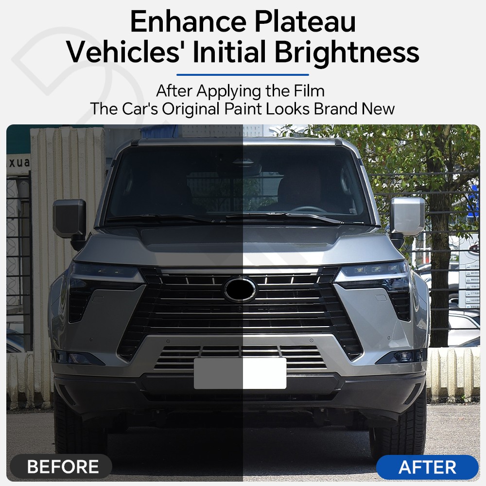 For Lexus GX550 Luxury/Over/Premium Rearview Mirror Precut Paint Protection Film