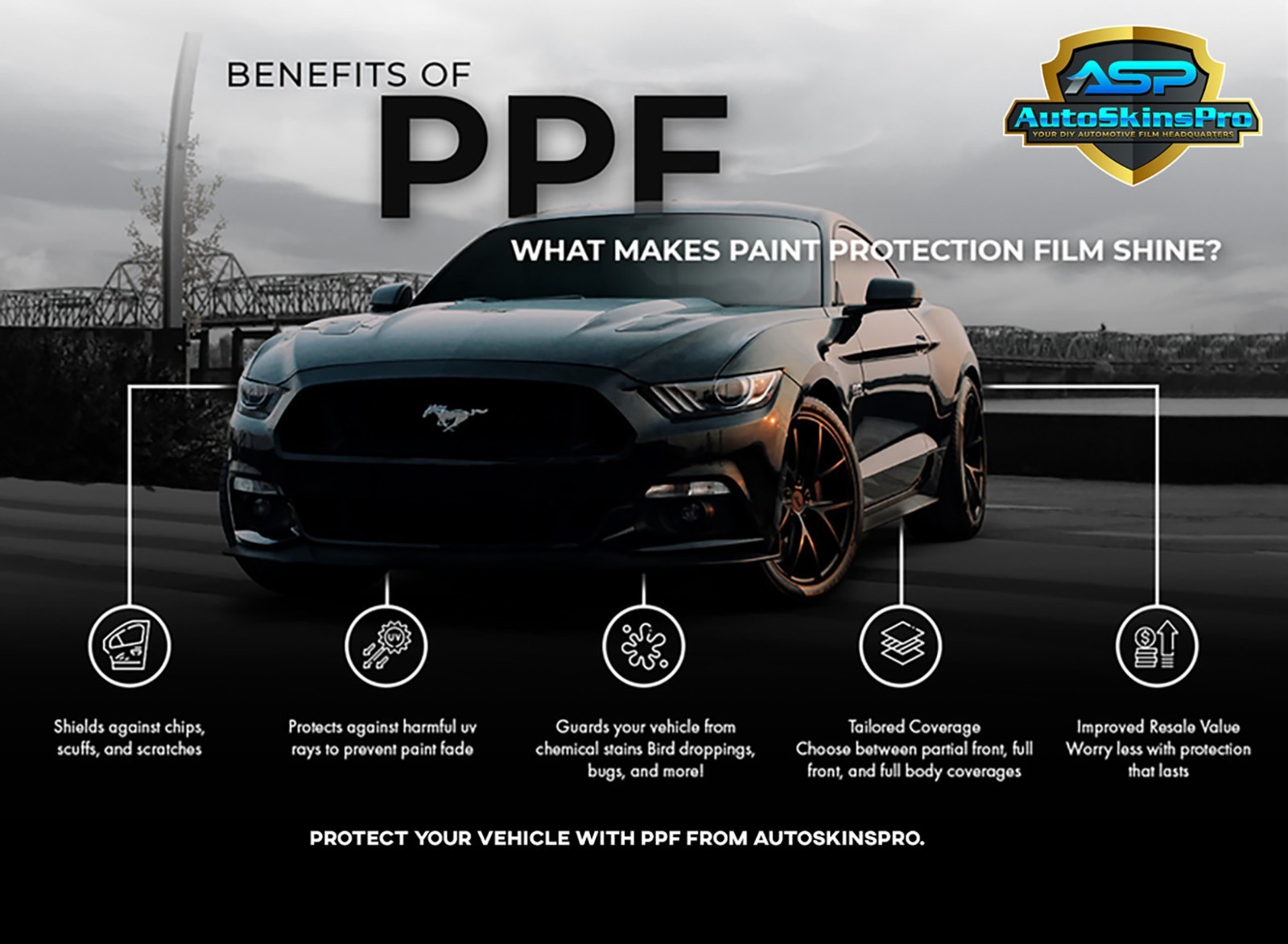 Precut Paint Protection Film for 2023-2026 Lincoln Corsair 4D SUV Front Bumper