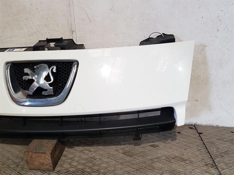 2007-2016 MK2 PEUGEOT EXPERT FRONT GRILLE 1497644077