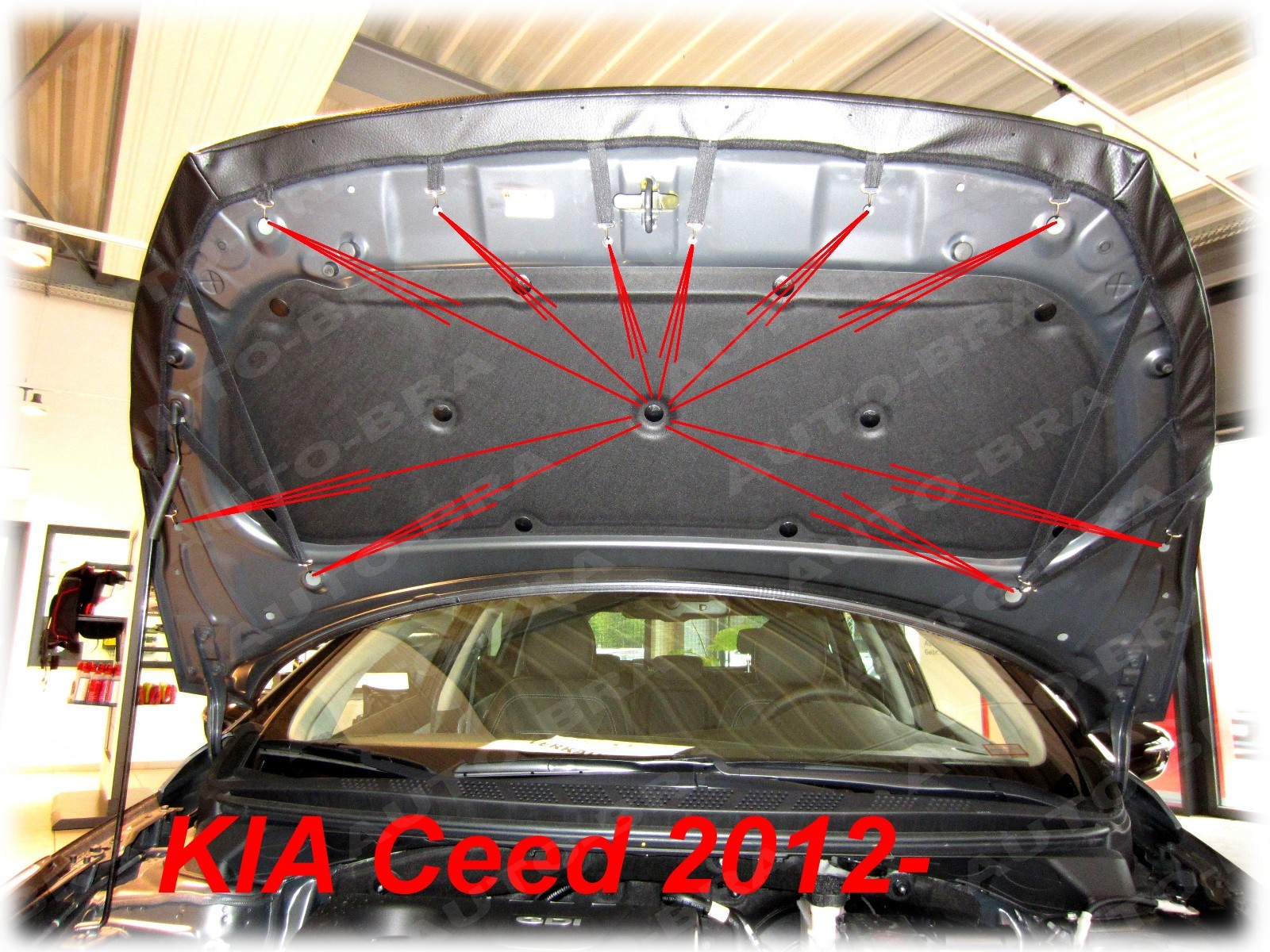Carbon BRA for Kia Ceed ProCeed X Ceed 2012 – 2018 Stone Chip Protection Bonn…