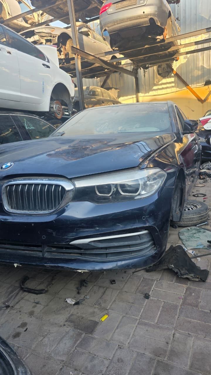 2020 BMW 530e xDrive Protective Strip Lines Left 51117385281