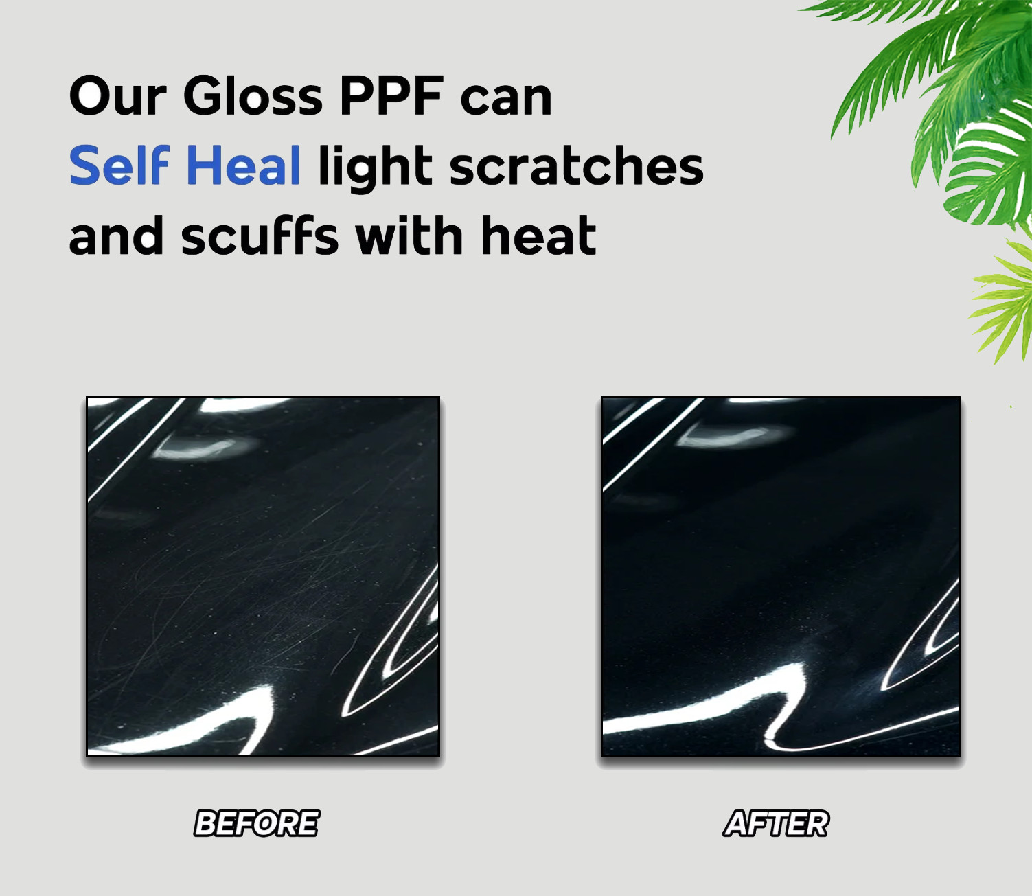 PreCut PPF Paint Protection Film DIY Clear Bra for BMW 2 Series Coupe 2014-2021