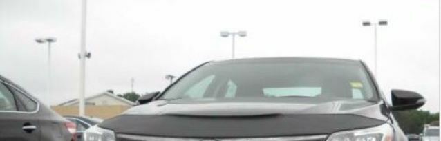 Lebra Hood Protector Mini Mask Bra Fits Toyota Avalon 2013-2018 13-18