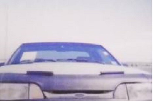 Lebra Hood Protector Mini Mask Bra Fits Ford Mustang LX GT Cobra ALL 1987-1993