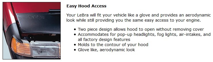 LeBra for Intrepid w/Fog Lights Front End Cover Hood Car Mask Bra 55453-01