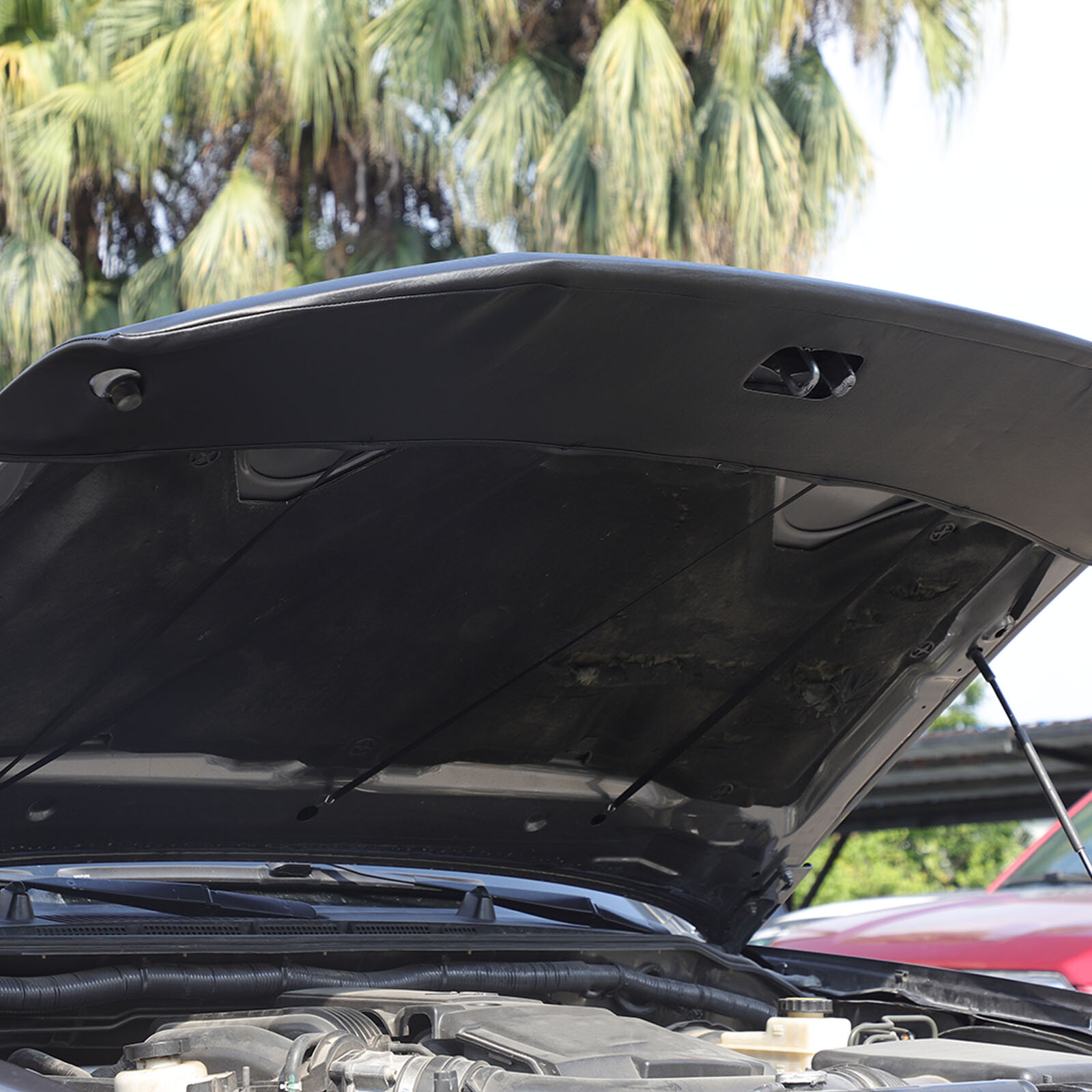 Hood Bra Guard Protection Stone Bug Deflector Flag For Nissan Frontier 2013-2021