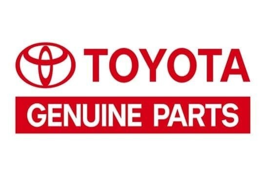 OEM Toyota 4Runner 2010-24 Door Edge Guards Classic Silver Metallic 1F7