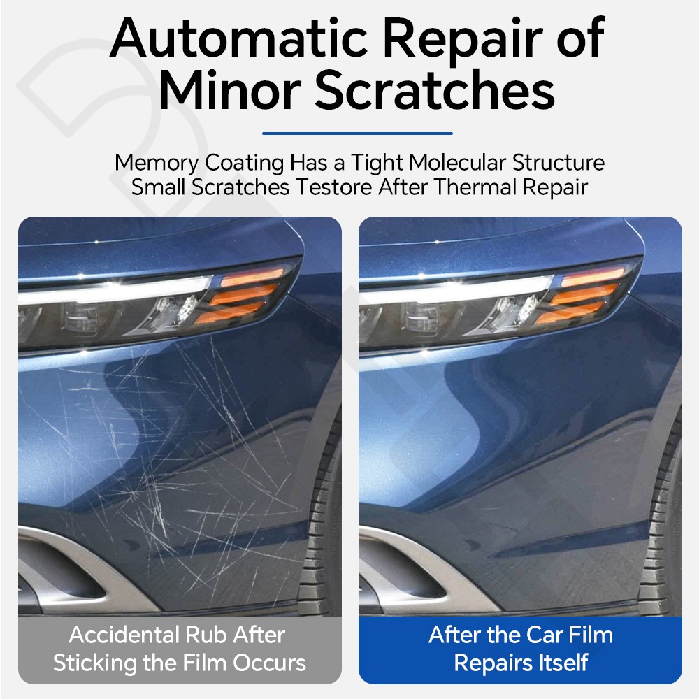 Honda Accord 2023-2025 Doors PreCut Paint Protection Film Gloss Clear Bra PPF