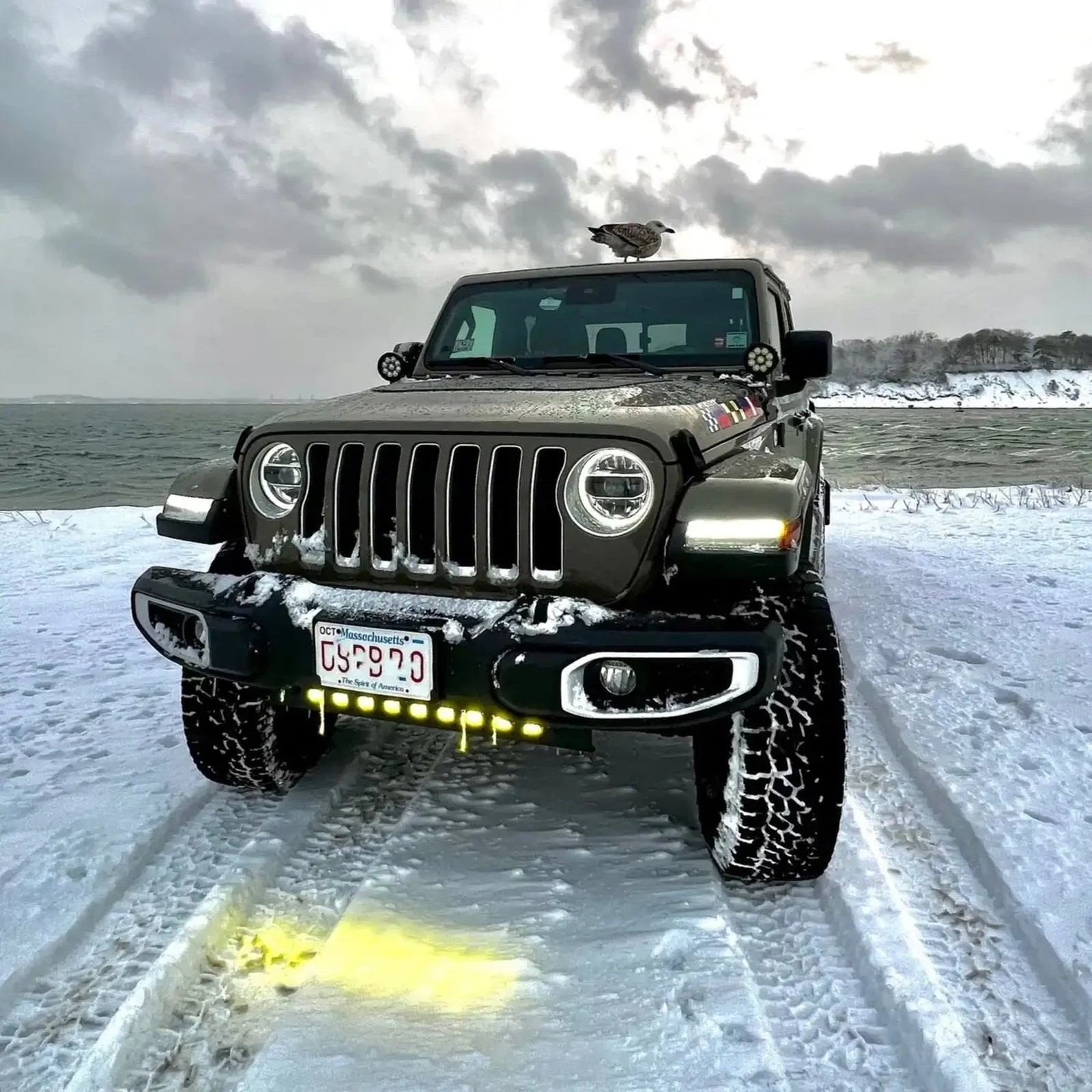 Skid Plate With Off-Road Lights Integrated LED Emitters ORACLE 5883-001
