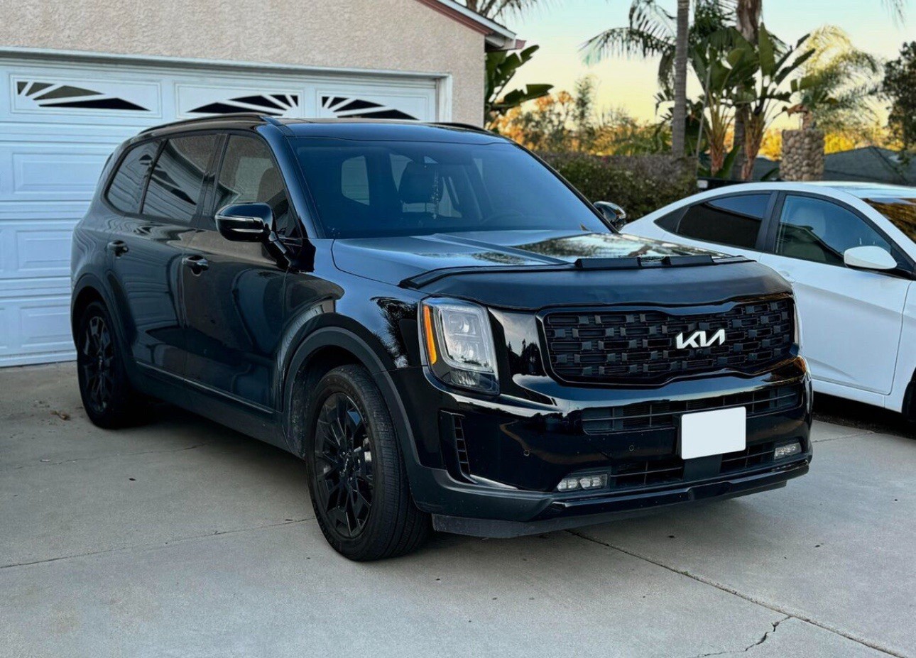 2024 Kia Telluride front bra brand new