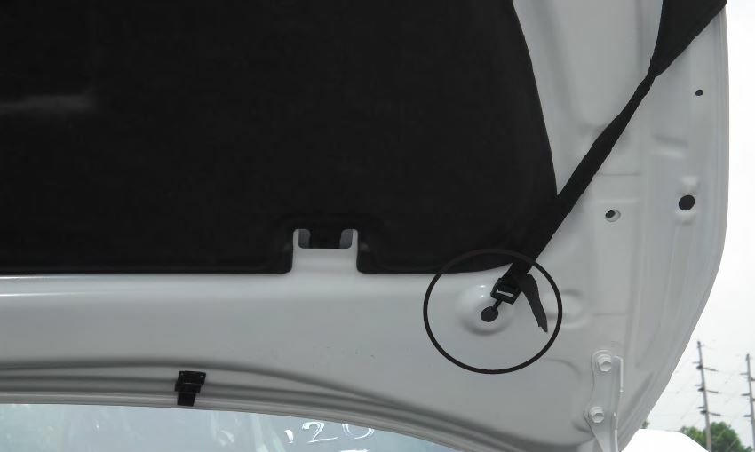 Lebra Hood Protector Mini Mask Bra Fits Toyota Corolla 2019-2024 Sedan & Hatch
