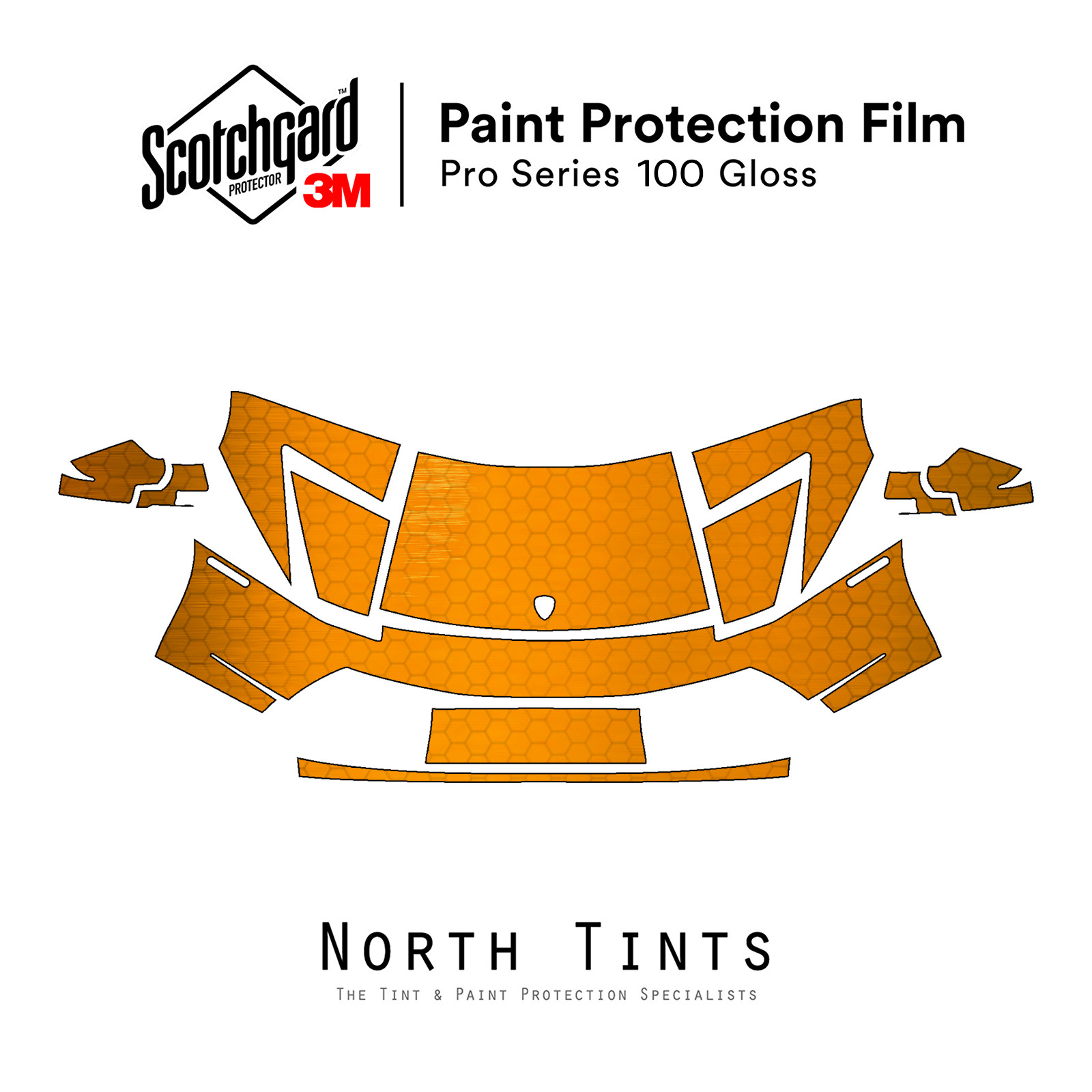 Lamborghini Murcielago 2002-2006 3M PRO Series PreCut Paint Protection Clear Bra