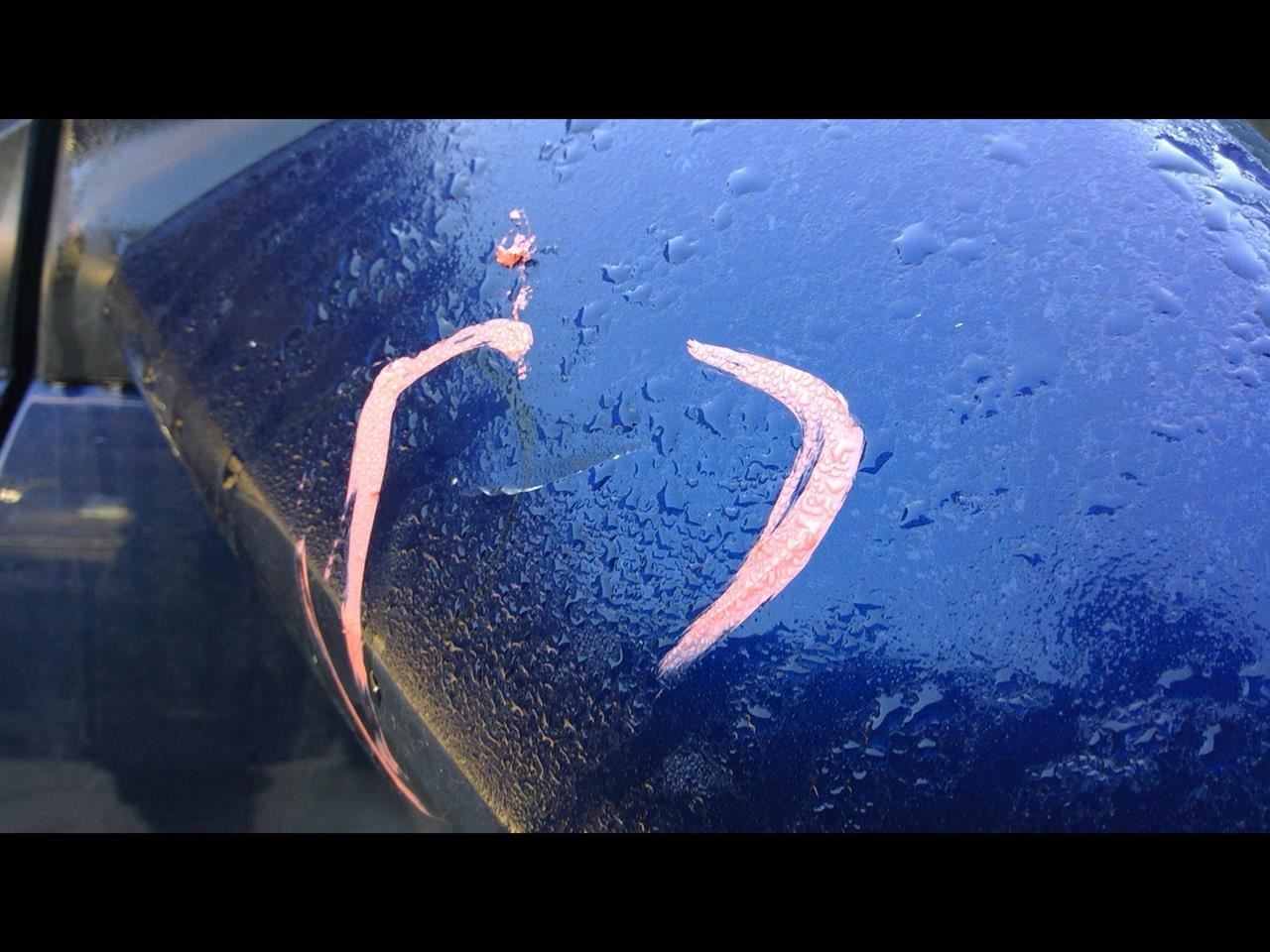 2010 SCION TC 2.4L COWL VENT PANEL