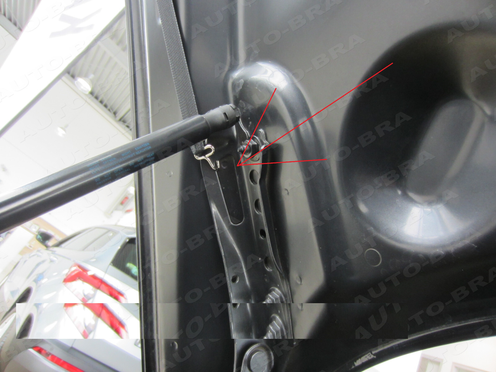 Carbon bra suitable for Skoda Superb III from 2015 stone chip protection hood…