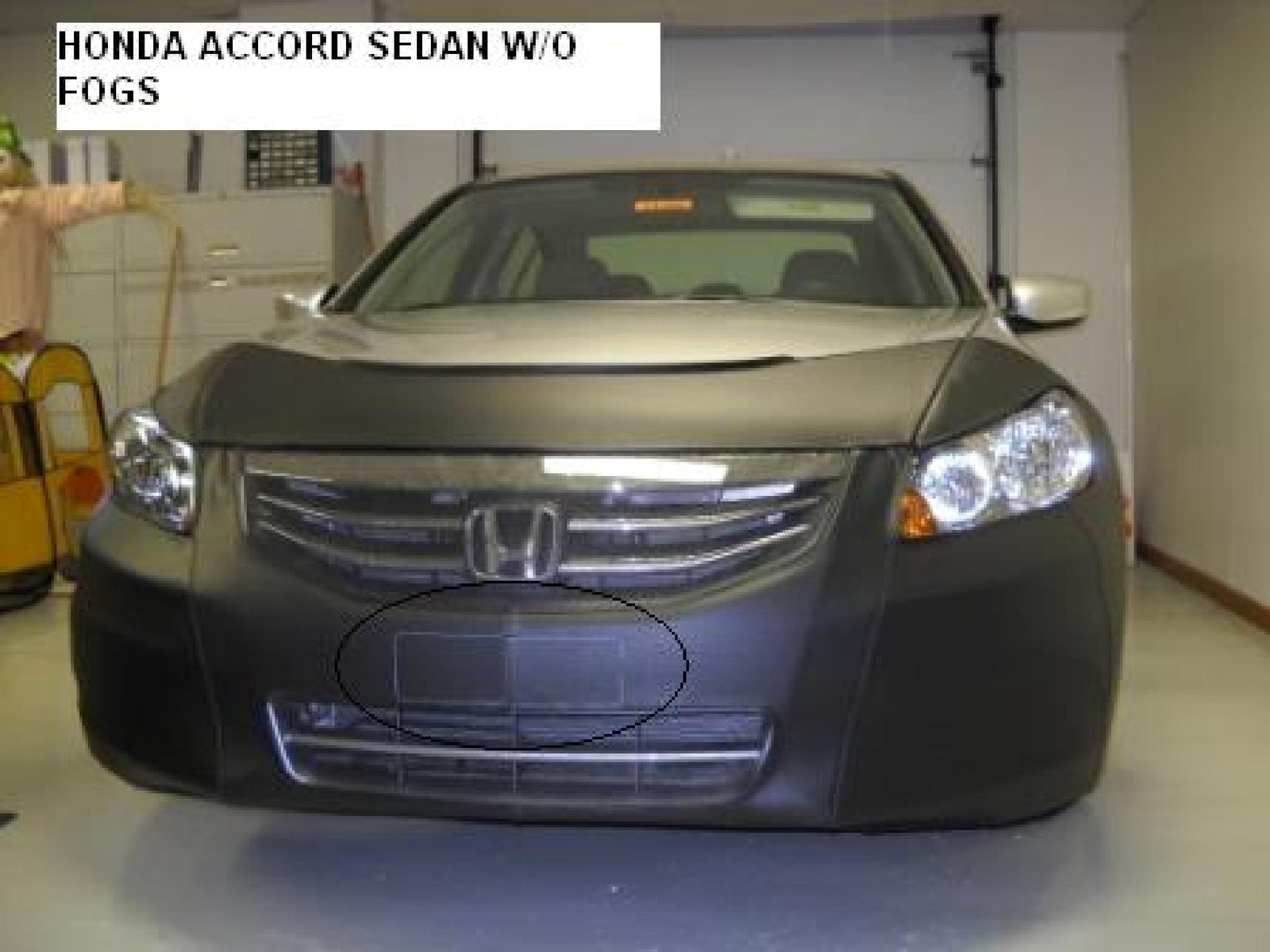 Lebra Front End Mask Cover Bra Fits HONDA ACCORD Sedan 2011 2012 11 12