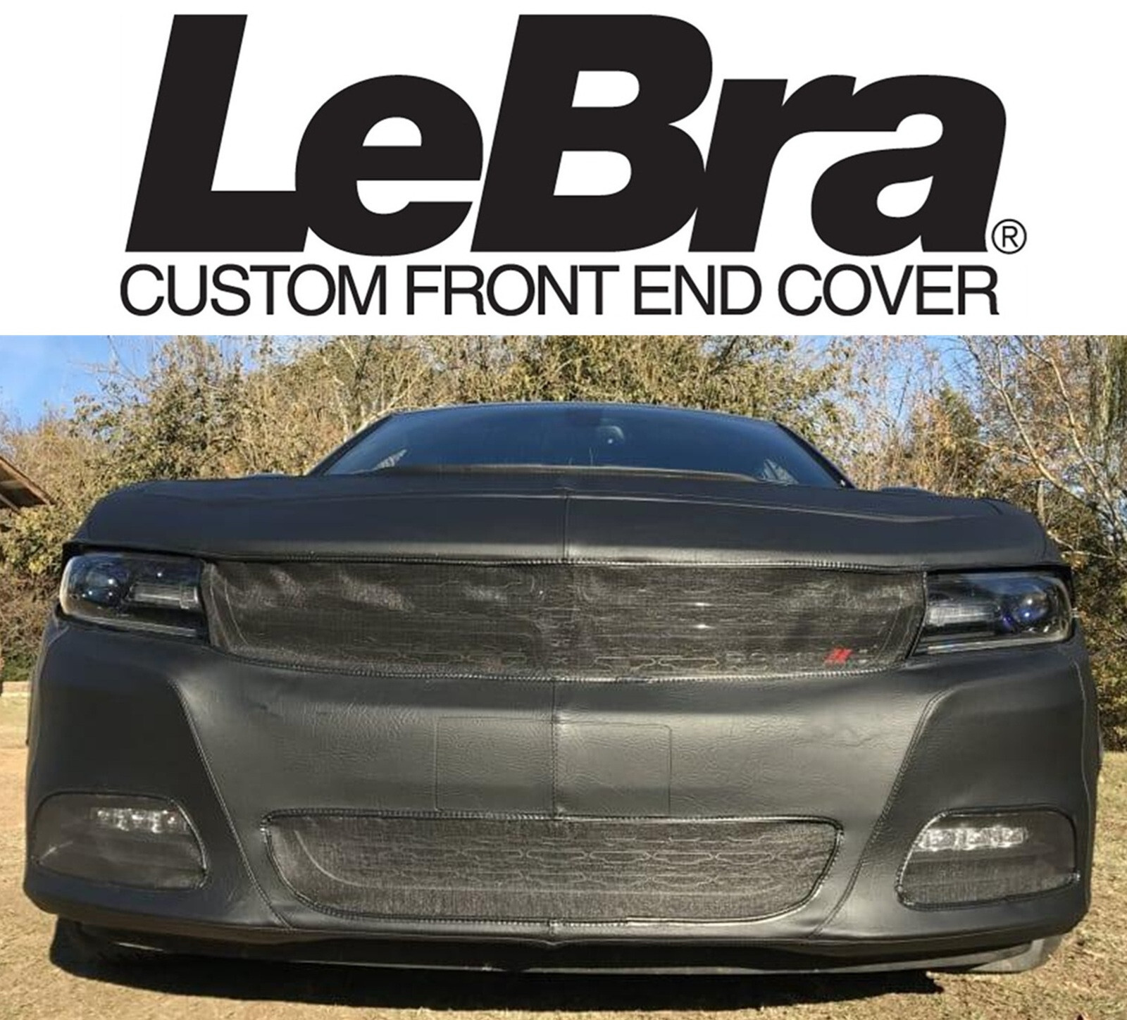 LeBra 2015-2023 Dodge Charger R/T, SXT, GT Custom Front End Cover Bra #551492-01