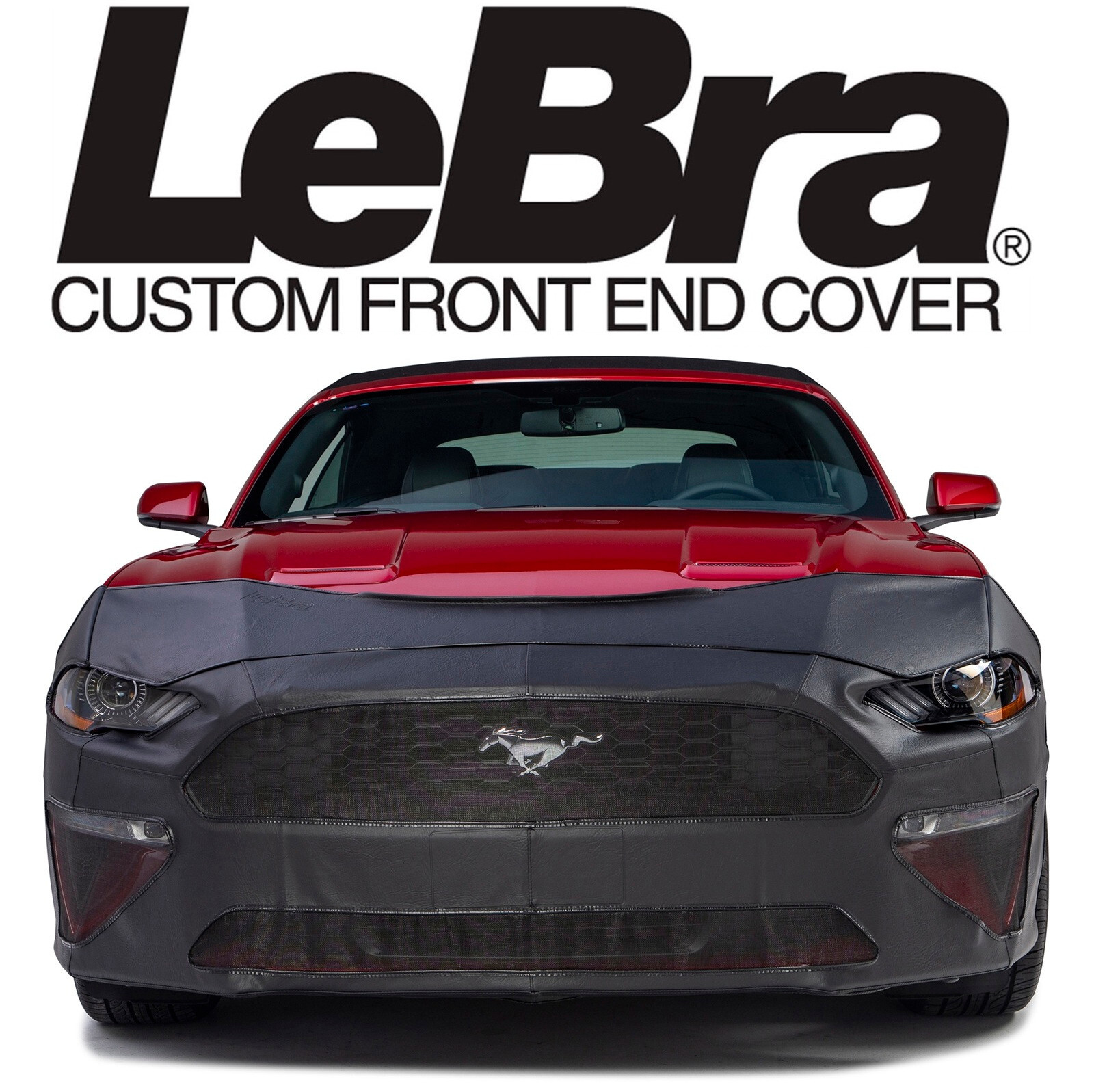 LeBra 2015-2017 Ford Mustang GT, V6 & Eco Custom Front End Cover Bra #551486-01