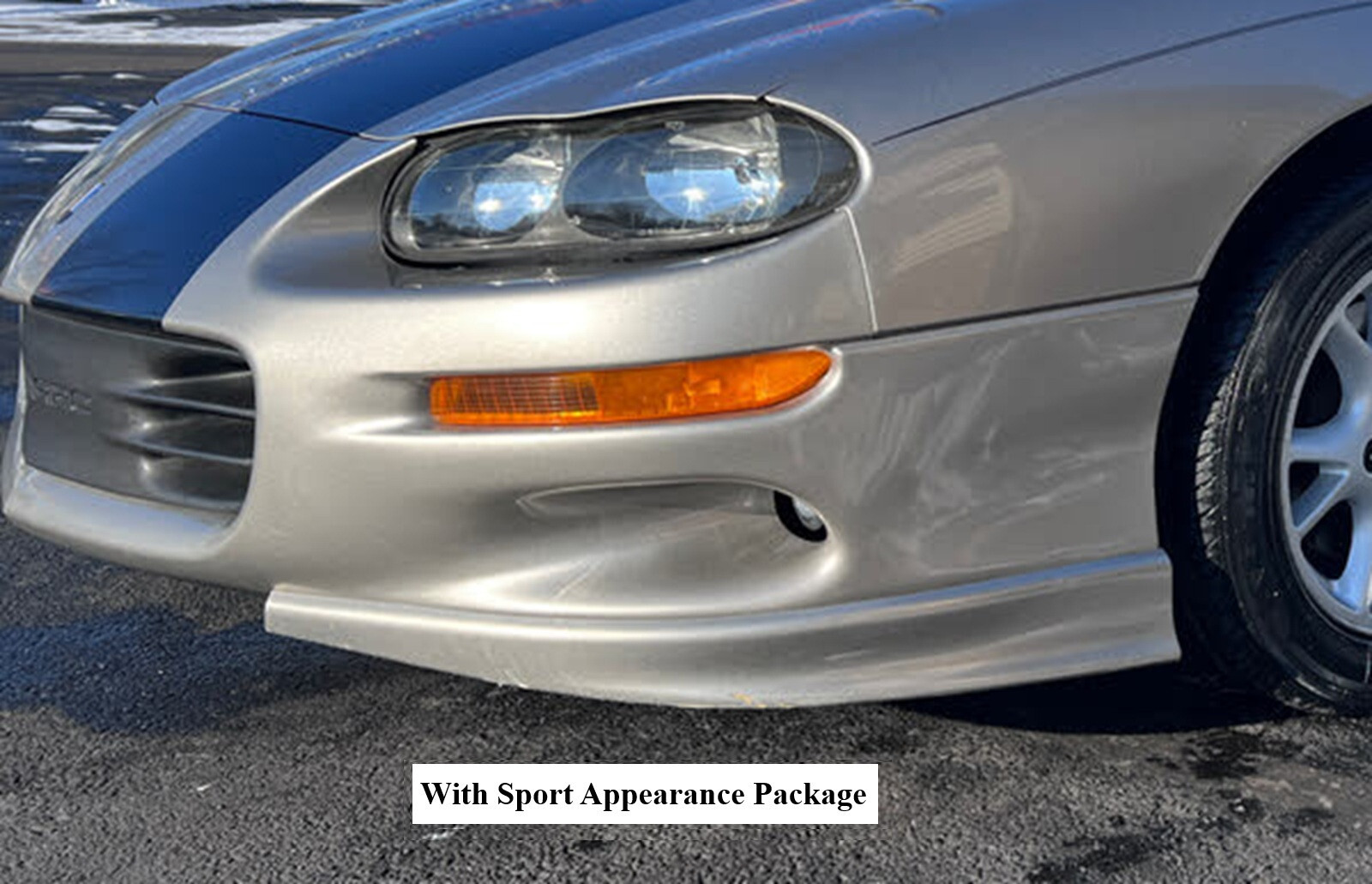 LeBra 1998-2002 Chevrolet Camaro Sport Package Custom Front End Cover #55816-01
