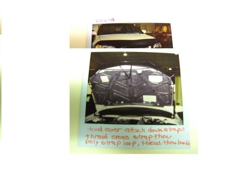 Hood Protector BRAND NEW Honda Accord 1998-2002 Lebra CoverCraft 45397-01