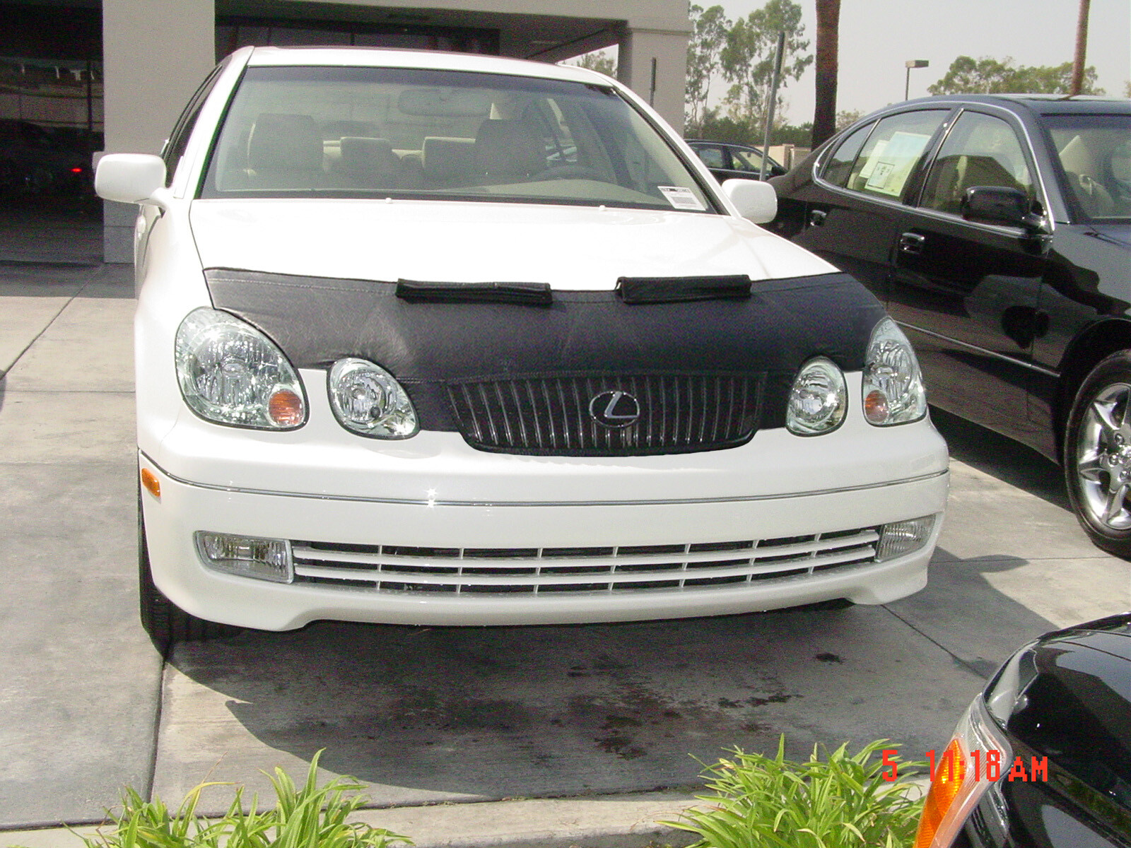 Colgan Sport Hood Bra 1 pc. Mask Fits Lexus GS300 GS430 2001-2005