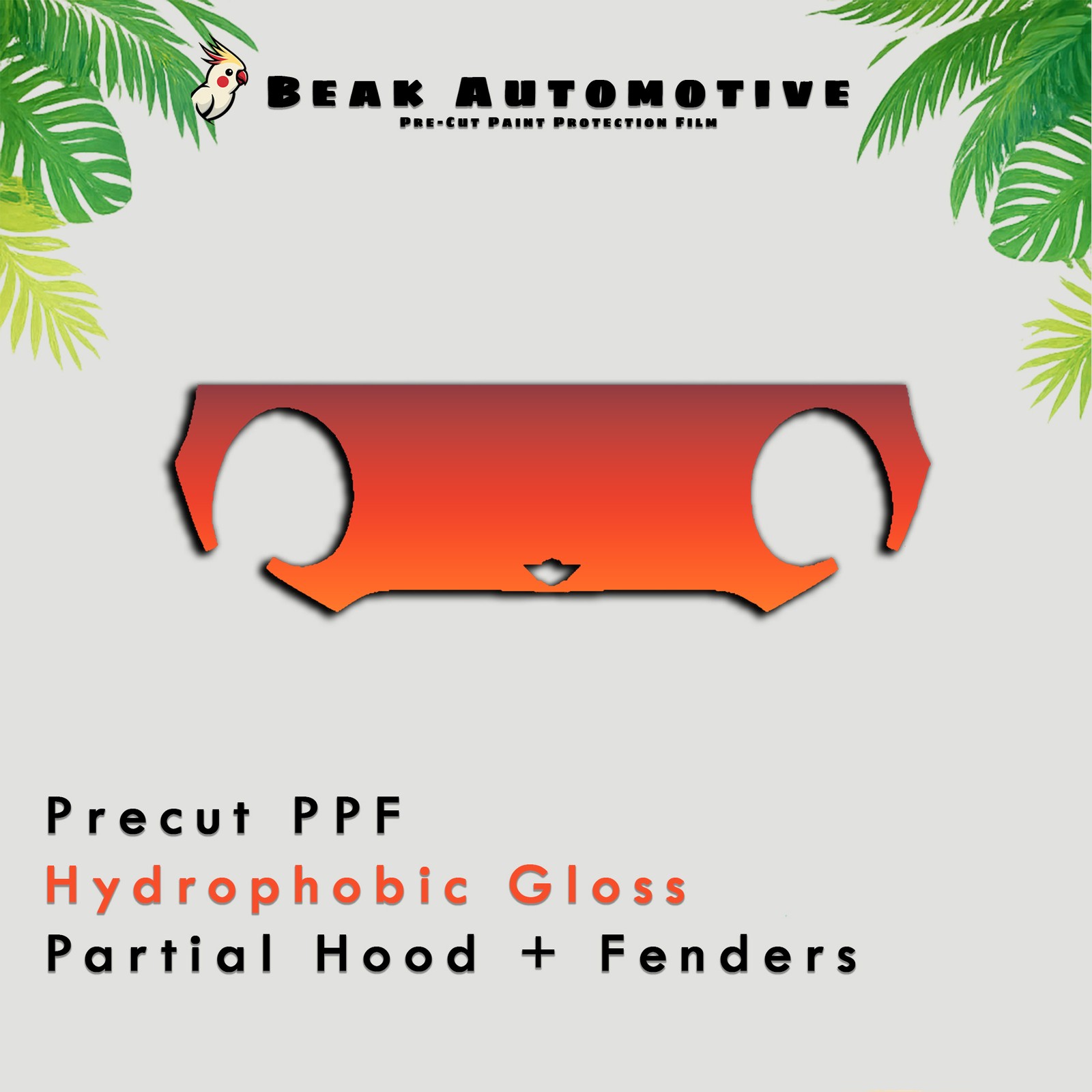 PreCut PPF Paint Protection Film Gloss DIY Clear Bra for MINI Cooper S 2024-2026
