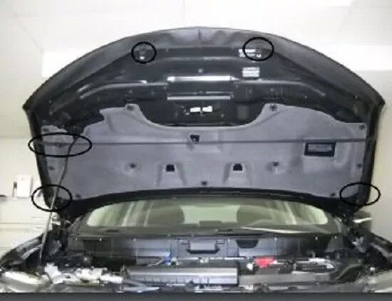 Lebra Front End Bumper Hood Mask Bra Cover for 2006 2007 2008 Toyota Rav4